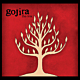 Gojira- the link