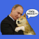 Putin And Dog