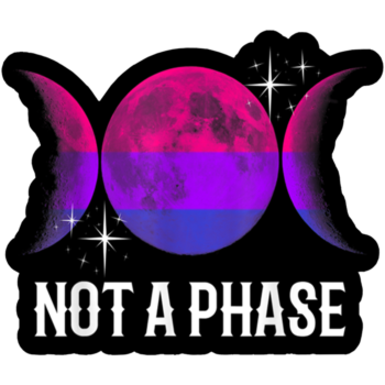 Bisexuality Is Not A Phase