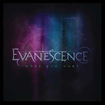 Evanescence- What you want
