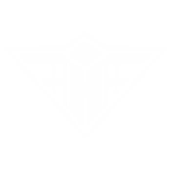 Feindflug - Logo