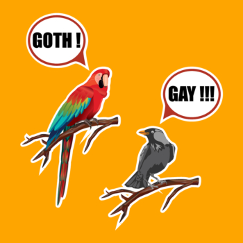 Goth Gay Parrot koraki