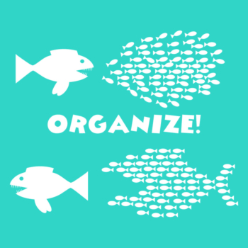 Organize