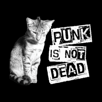 Punk is not Dead