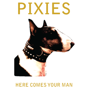 The Pixies-Here Comes your Man